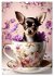 Kaffeepause mit Chihuahua - Kleine... - Bild 9