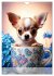 Kaffeepause mit Chihuahua - Kleine... - Bild 12
