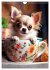 Kaffeepause mit Chihuahua - Kleine... - Bild 13