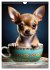 Kaffeepause mit Chihuahua - Kleine... - Bild 5