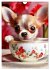 Kaffeepause mit Chihuahua - Kleine... - Bild 7