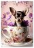 Kaffeepause mit Chihuahua - Kleine... - Bild 9