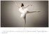 Ballett Kalender 2026 - Wandkalender  ... - Bild 2