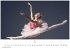 Ballett Kalender 2026 - Wandkalender  ... - Bild 7