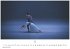 Ballett Kalender 2026 - Wandkalender  ... - Bild 9