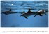 Wale und Delfine Kalender 2026 -... - Bild 2