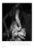 Flamenco schwarz-weiss Kalender 2026 -... - Bild 8