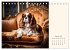 Goldige Kavalier King Charles Spaniels... - Bild 8