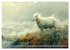 Stürmisch wildes Wetter (Wandkalender... - Bild 14