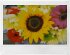 Fujifilm Instax Wide Evo - Bild 12