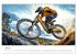 Mountainbike - Highspeed durch das Jahr... - Bild 13
