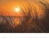 Sylt 2026 - Bildkalender XXL 60x50 cm -... - Bild 4