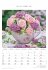 Rosenträume 2026 - Bildkalender... - Bild 6
