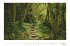 Traumpfade 2026 - Bildkalender 49,5x33... - Bild 5