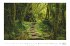 Traumpfade 2026 - Bildkalender 49,5x33... - Bild 9