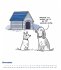 A Cat's Life & A Dogs Life 2026 -... - Bild 22