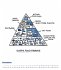 A Cat's Life & A Dogs Life 2026 -... - Bild 24