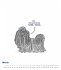 A Cat's Life & A Dogs Life 2026 -... - Bild 7