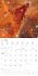 Space 2026 - Broschürenkalender 30x30... - Bild 6