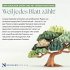 Der Kleine Prinz 2026 - Wand-Kalender -... - Bild 2