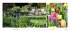 Landlust Panorama: Garten-Kontraste... - Bild 4