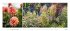 Landlust Panorama: Garten-Kontraste... - Bild 5