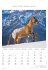 Pferde 2026 - Bildkalender 23,7x34 cm -... - Bild 2