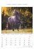 Pferde 2026 - Bildkalender 23,7x34 cm -... - Bild 12