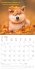 Funny Animals 2026 - Wand-Kalender -... - Bild 12