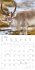 Funny Animals 2026 - Wand-Kalender -... - Bild 14