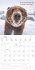 Funny Animals 2026 - Wand-Kalender -... - Bild 3