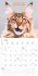 Funny Animals 2026 - Wand-Kalender -... - Bild 7