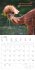 Funny Animals 2026 - Wand-Kalender -... - Bild 8