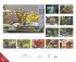 Blumenpracht - Wandkalender mit 12... - Bild 12