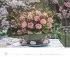 Blumenpracht - Wandkalender mit 12... - Bild 4