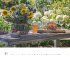 Blumenpracht - Wandkalender mit 12... - Bild 7