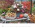 Blumenpracht - Wandkalender mit 12... - Bild 10