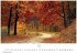 Gartenparadiese Kalender 2026 -... - Bild 11