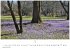 Gartenparadiese Kalender 2026 -... - Bild 4