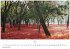 Gartenparadiese Kalender 2026 -... - Bild 9