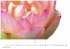Flower Fantasy Kalender 2026 -... - Bild 3