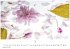 Flower Fantasy Kalender 2026 -... - Bild 4