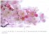 Flower Fantasy Kalender 2026 -... - Bild 8