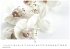 Flower Fantasy Kalender 2026 -... - Bild 10