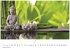 Buddhas Kalender 2026 - Wandkalender  ... - Bild 8