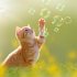 Katzen/Cats 2026 - Bild 6