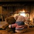 Teddys Welt/Teddy's World 2026 - Bild 12