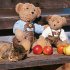Teddys Welt/Teddy's World 2026 - Bild 10