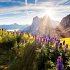 Alpen 2026 - Bild 4