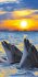 Delfine/Dolphins 2026 - Bild 15
